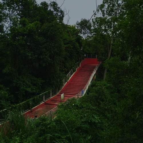 Photo #10522923