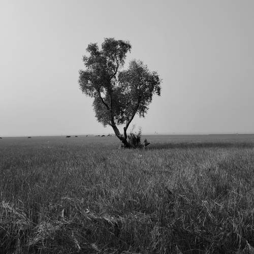 Solidity