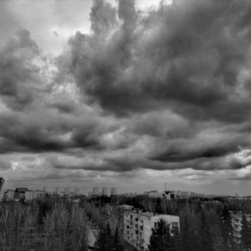 Photo #10523134