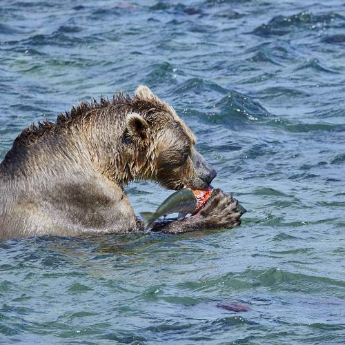 Photo #10523168