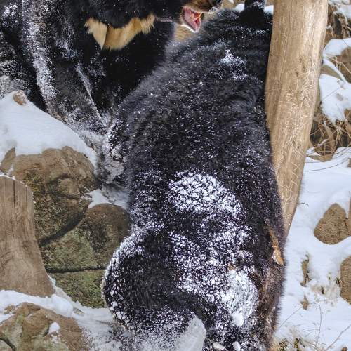 Photo #10523231
