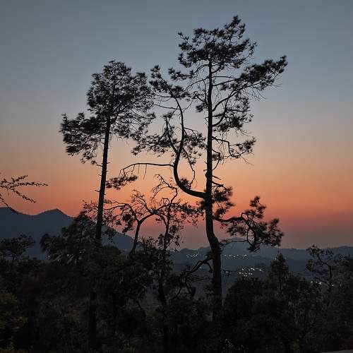 Photo #10523350