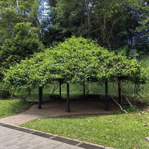 Photo #10523605