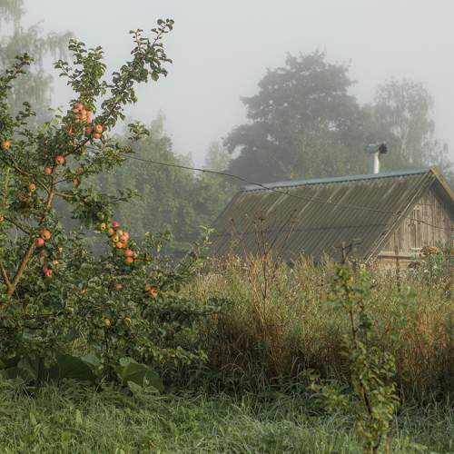 Photo #10524282