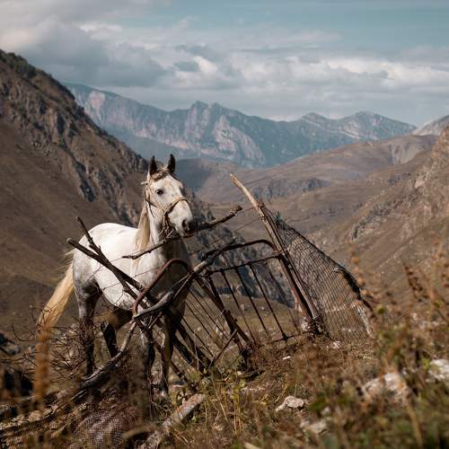 Photo #10524287