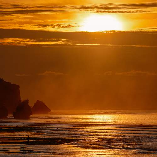 Photo #10524691