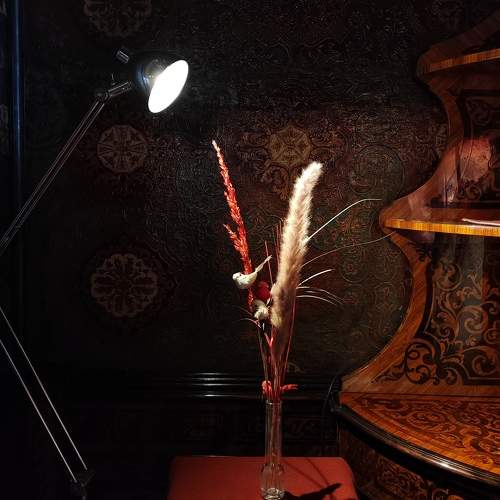 Photo #10525568