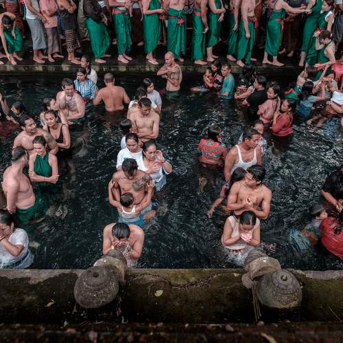 Photo #10526280