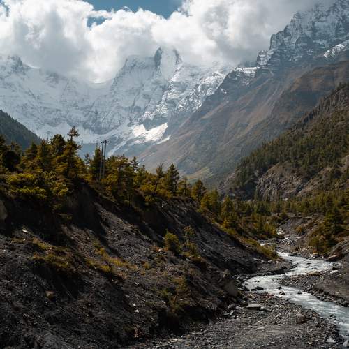Photo #10526287
