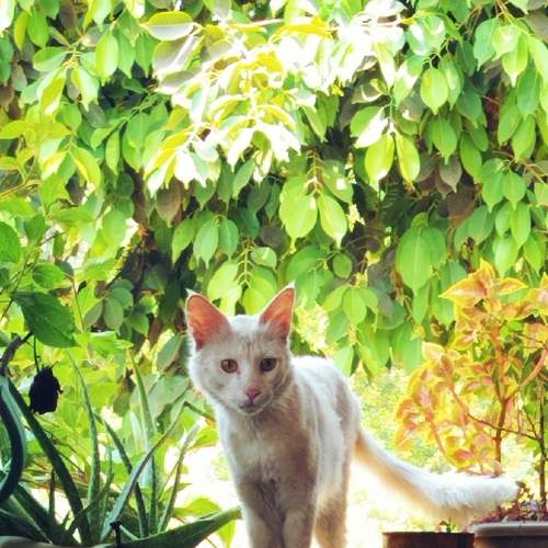 Photo #10526957