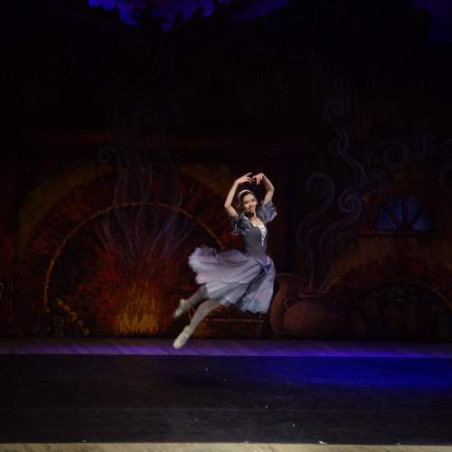 Photo #10528629
