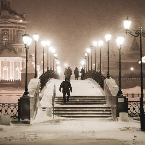 Photo #10528775