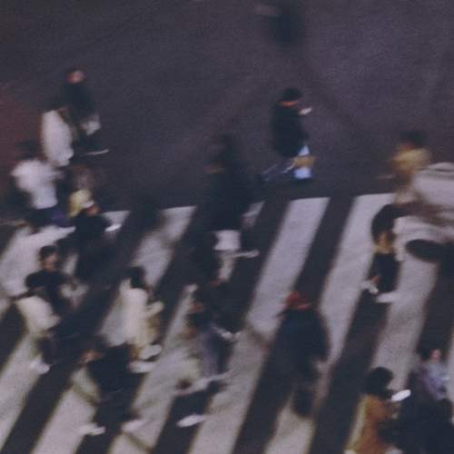 Photo #10529675