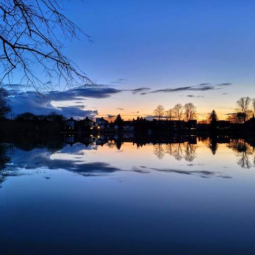 Photo #10529750