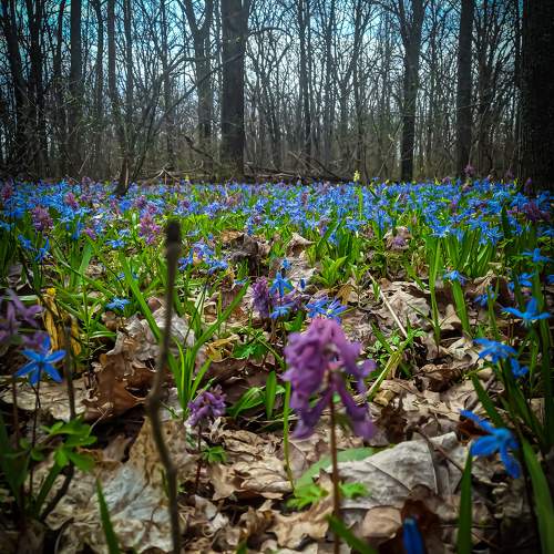 Photo #10530009
