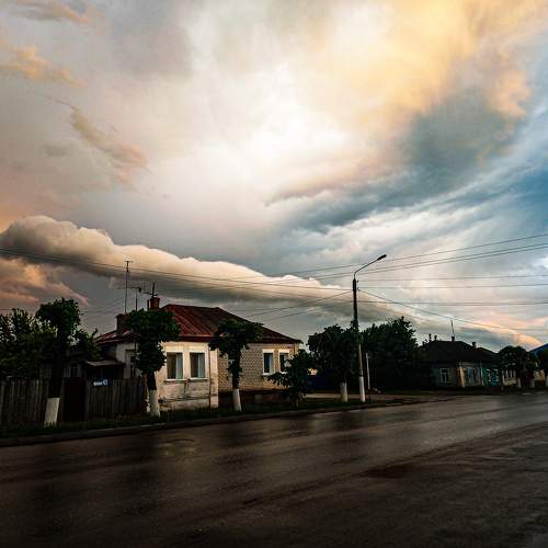 Photo #10530019