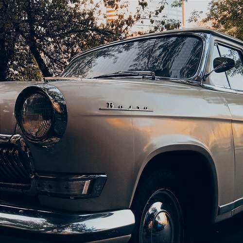 Photo #10530058