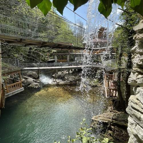 Фотография #10530062