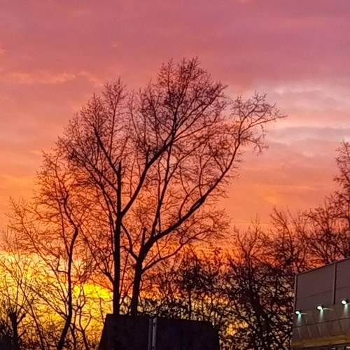 Photo #10530144