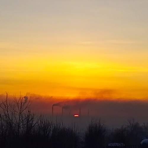 Photo #10530154