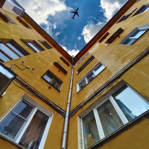 Photo #10530665