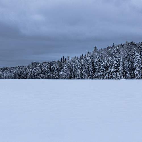 Photo #10530678