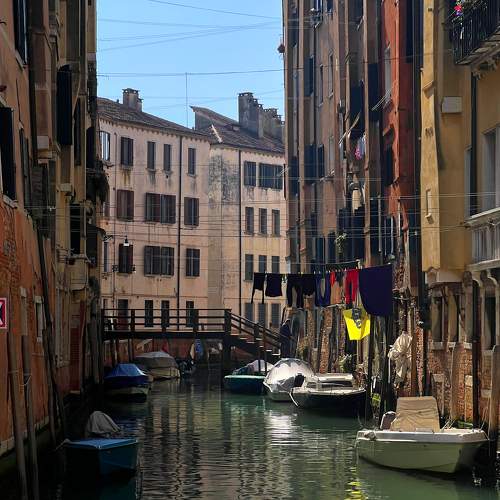 Photo #10530700
