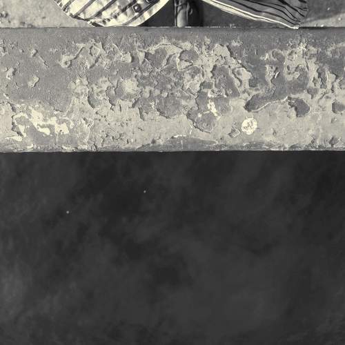 Photo #10530716