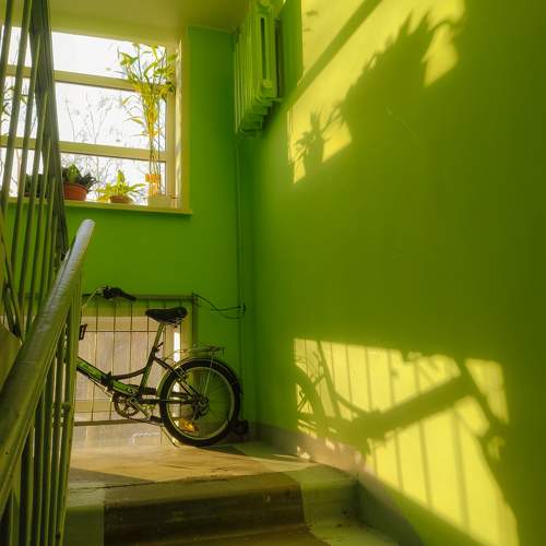 Photo #10530784