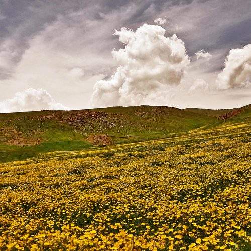 Photo #10531141