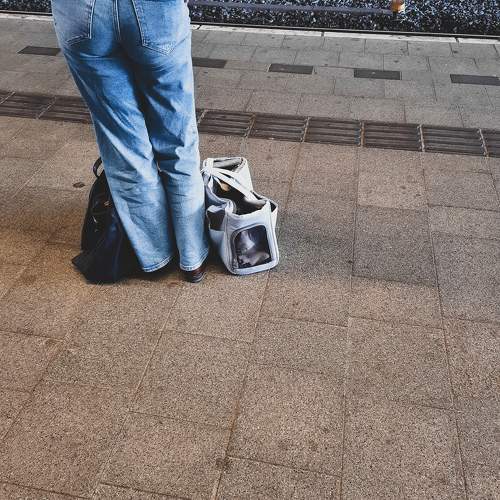 A Dutch girl with her rabbit on train station