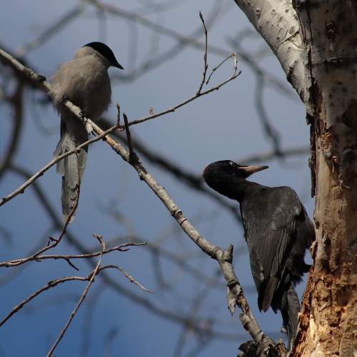 Photo #10531677