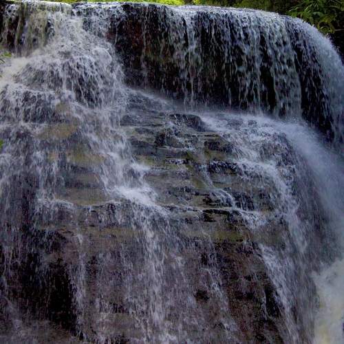 Photo #10532194