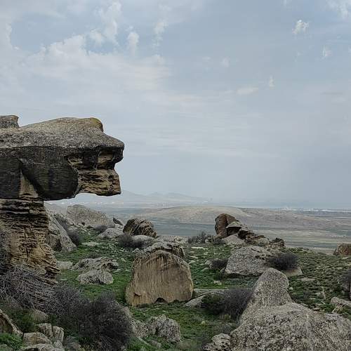 Photo #10532813