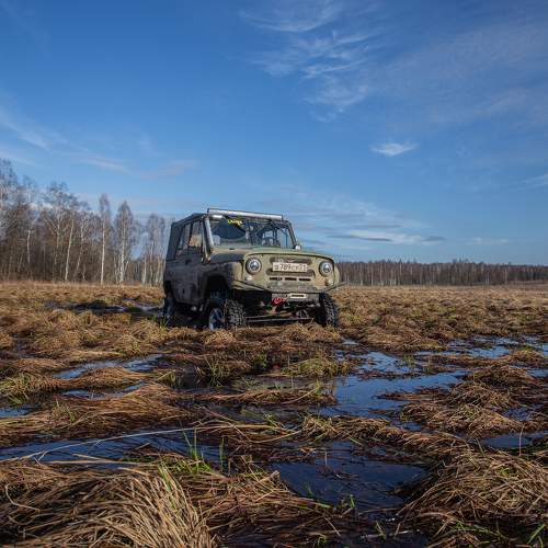 Photo #10532872