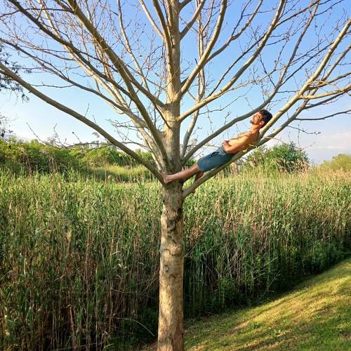 Photo #10532946