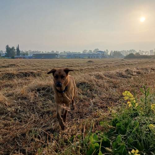 Photo #10532947