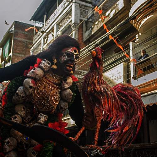 Photo #10532968
