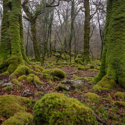 Photo #10533334