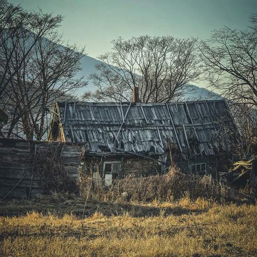 Photo #10533514