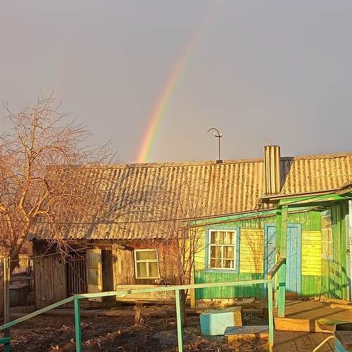 Photo #10533584