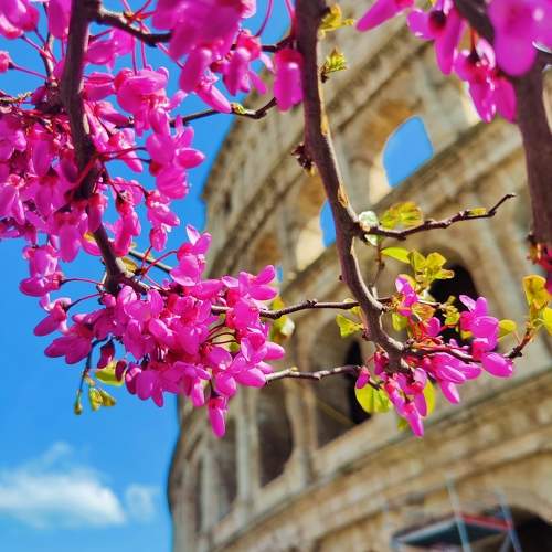Photo #10533720