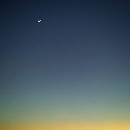 Photo #10533787