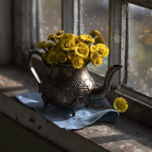 Photo #10533914
