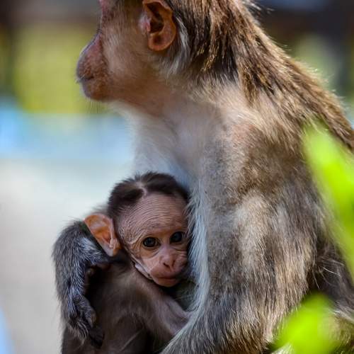 Photo #10534005