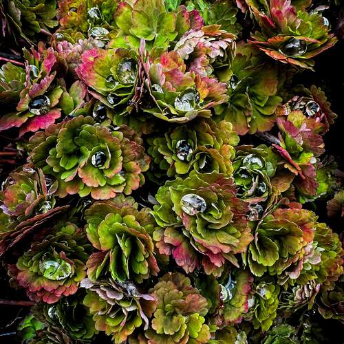 Photo #10534034