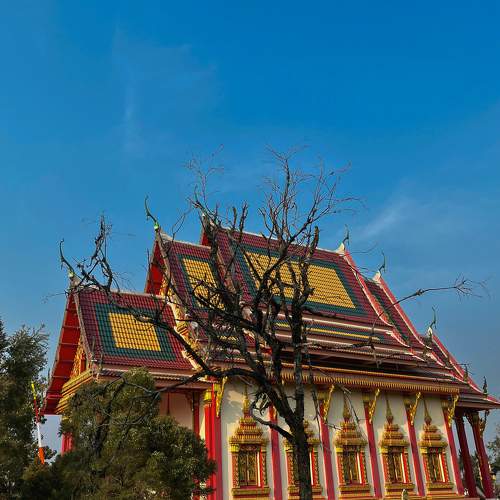 Photo #10534561