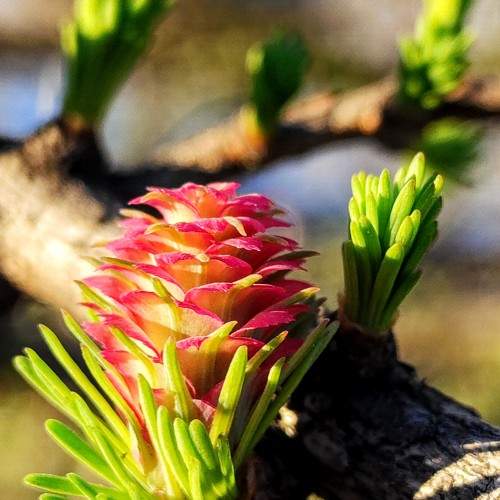 Photo #10534605