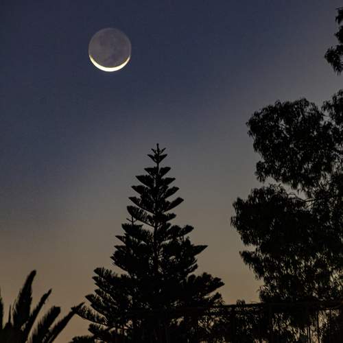 Photo #10534666