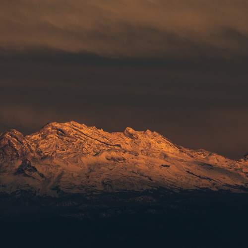 Photo #10534670